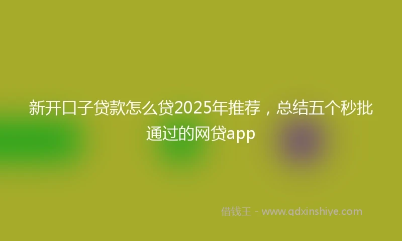 新开口子贷款怎么贷2025年推荐,总结五个秒批通过的网贷app