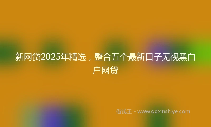 新网贷2025年精选，整合五个最新口子无视黑白户网贷