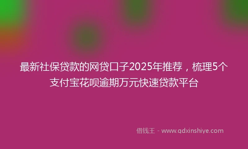 最新社保贷款的网贷口子2025年推荐，梳理5个支付宝花呗逾期万元快速贷款平台