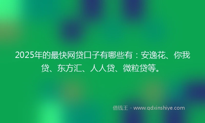 2025年的最快网贷口子有哪些有：安逸花、你我贷、东方汇、人人贷、微粒贷等。