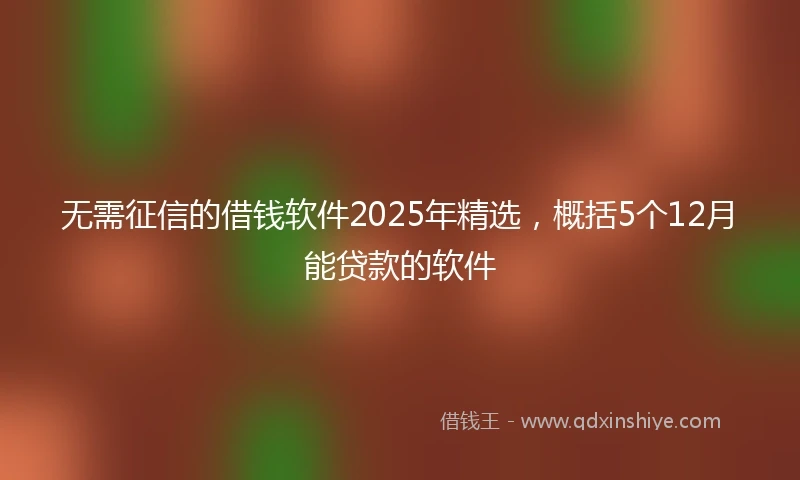 无需征信的借钱软件2025年精选，概括5个12月能贷款的软件