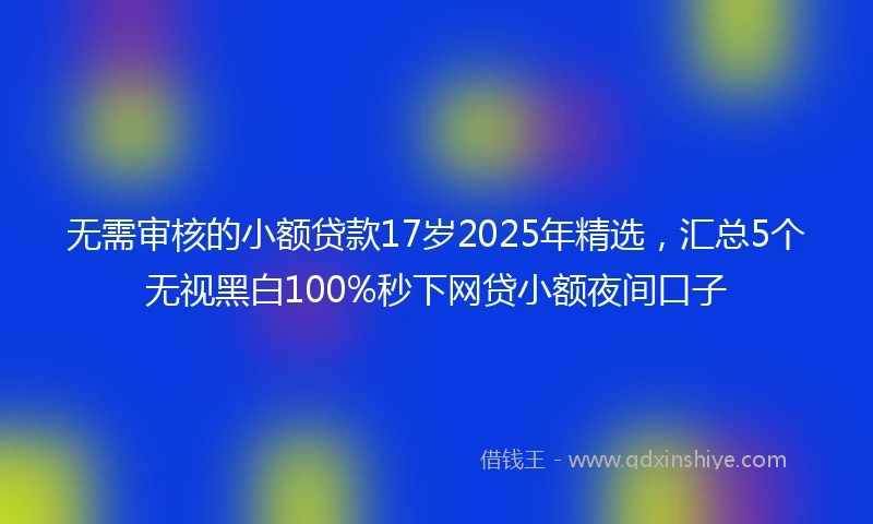 无需审核的小额贷款17岁2025年精选，汇总5个无视黑白100%秒下网贷小额夜间口子