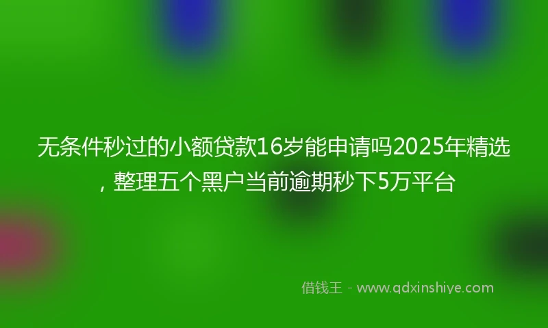 无条件秒过的小额贷款16岁能申请吗2025年精选，整理五个黑户当前逾期秒下5万平台