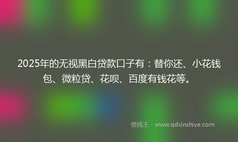 2025年的无视黑白贷款口子有：替你还、小花钱包、微粒贷、花呗、百度有钱花等。