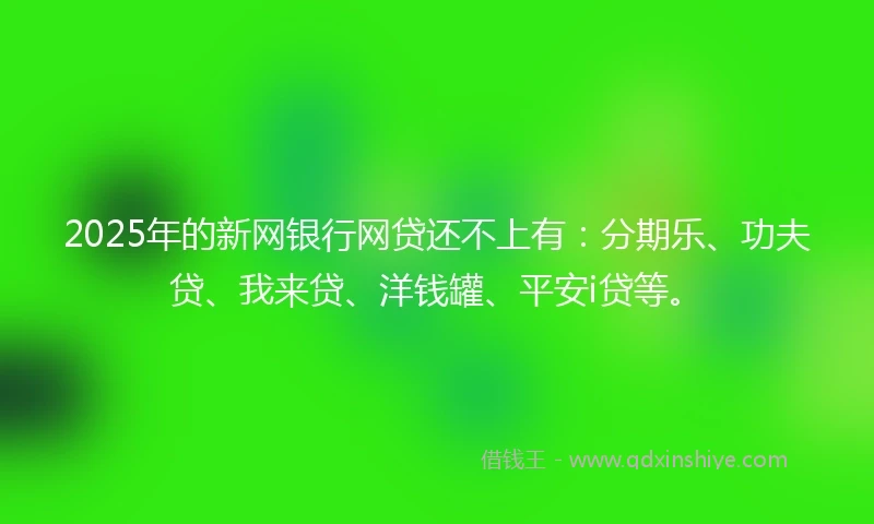 2025年的新网银行网贷还不上有：分期乐、功夫贷、我来贷、洋钱罐、平安i贷等。
