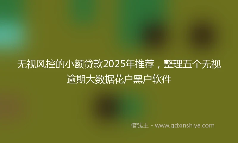 无视风控的小额贷款2025年推荐，整理五个无视逾期大数据花户黑户软件