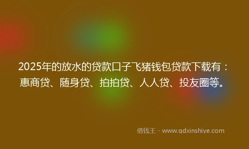 2025年的放水的贷款口子飞猪钱包贷款下载有：惠商贷、随身贷、拍拍贷、人人贷、投友圈等。