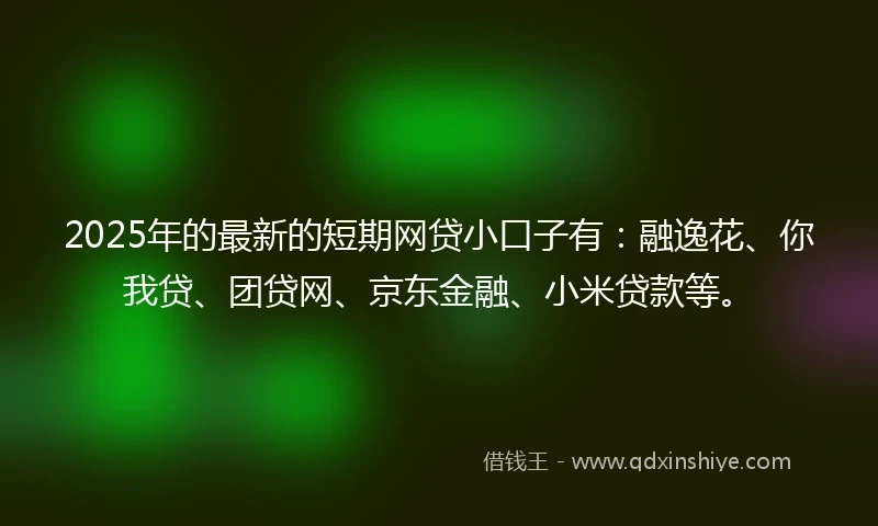 2025年的最新的短期网贷小口子有：融逸花、你我贷、团贷网、京东金融、小米贷款等。