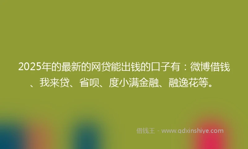 2025年的最新的网贷能出钱的口子有：微博借钱、我来贷、省呗、度小满金融、融逸花等。