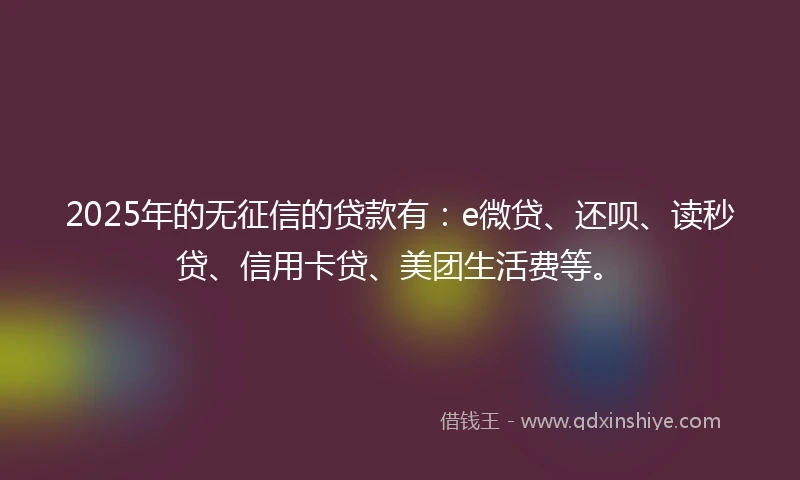 2025年的无征信的贷款有：e微贷、还呗、读秒贷、信用卡贷、美团生活费等。
