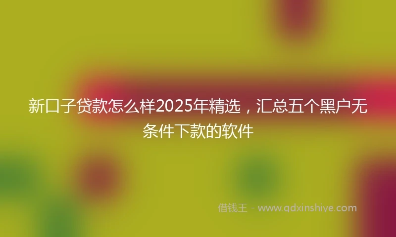 新口子贷款怎么样2025年精选，汇总五个黑户无条件下款的软件