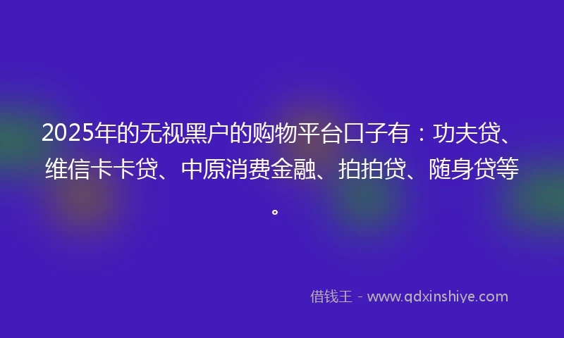 2025年的无视黑户的购物平台口子有：功夫贷、维信卡卡贷、中原消费金融、拍拍贷、随身贷等。