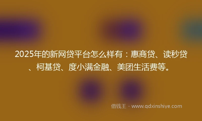 2025年的新网贷平台怎么样有：惠商贷、读秒贷、柯基贷、度小满金融、美团生活费等。