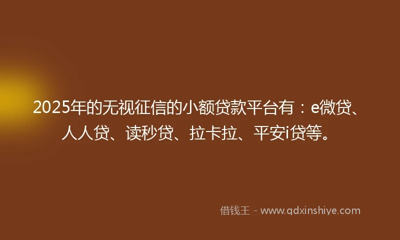 2025年的无视征信的小额贷款平台有：e微贷、人人贷、读秒贷、拉卡拉、平安i贷等。