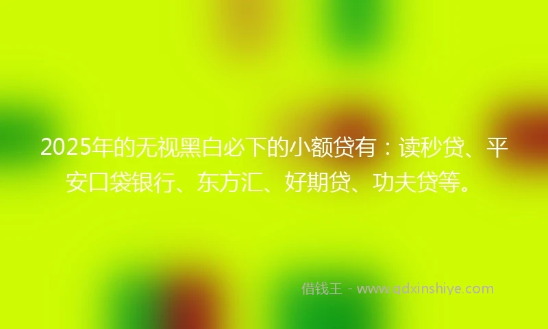 2025年的无视黑白必下的小额贷有：读秒贷、平安口袋银行、东方汇、好期贷、功夫贷等。
