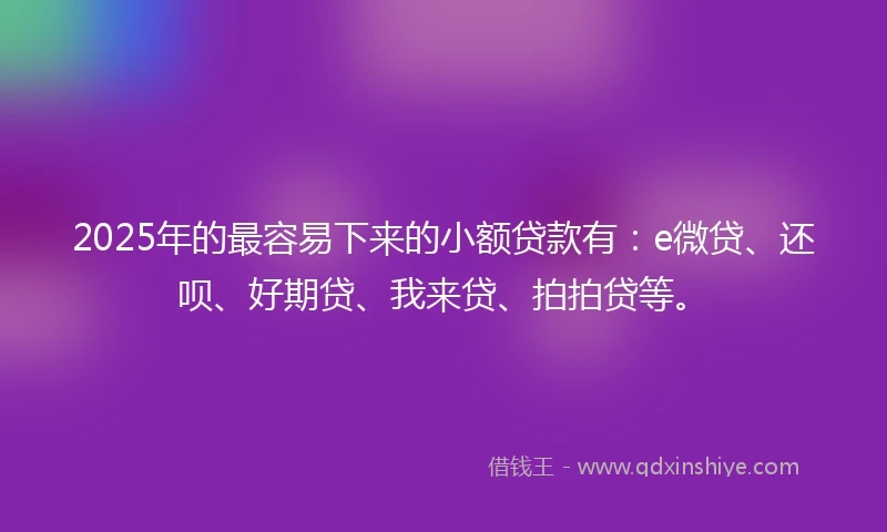 2025年的最容易下来的小额贷款有：e微贷、还呗、好期贷、我来贷、拍拍贷等。