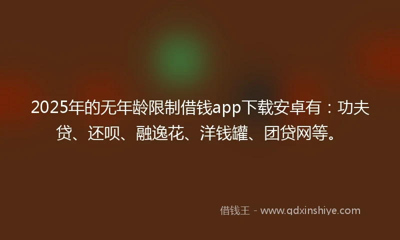 2025年的无年龄限制借钱app下载安卓有：功夫贷、还呗、融逸花、洋钱罐、团贷网等。