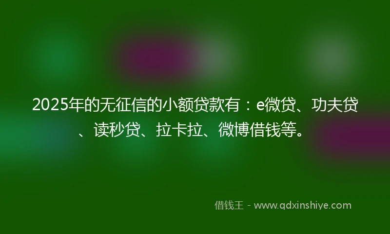 2025年的无征信的小额贷款有：e微贷、功夫贷、读秒贷、拉卡拉、微博借钱等。