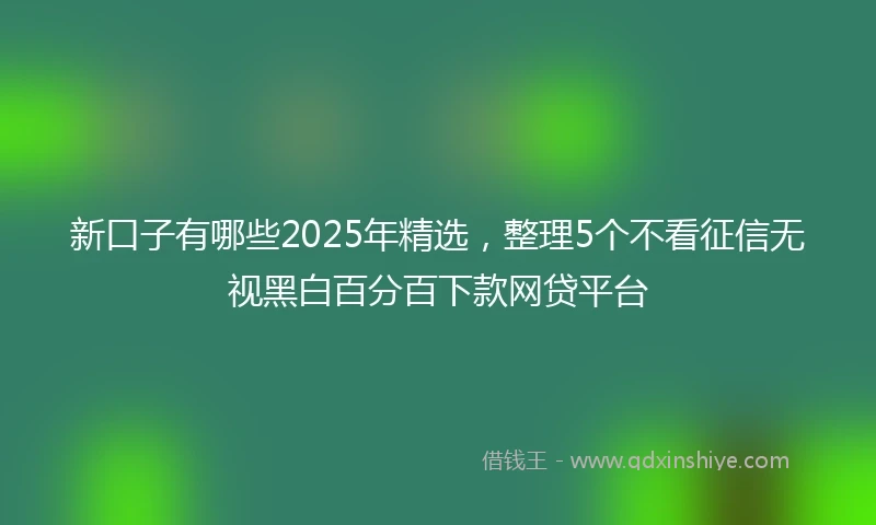 新口子有哪些2025年精选，整理5个不看征信无视黑白百分百下款网贷平台