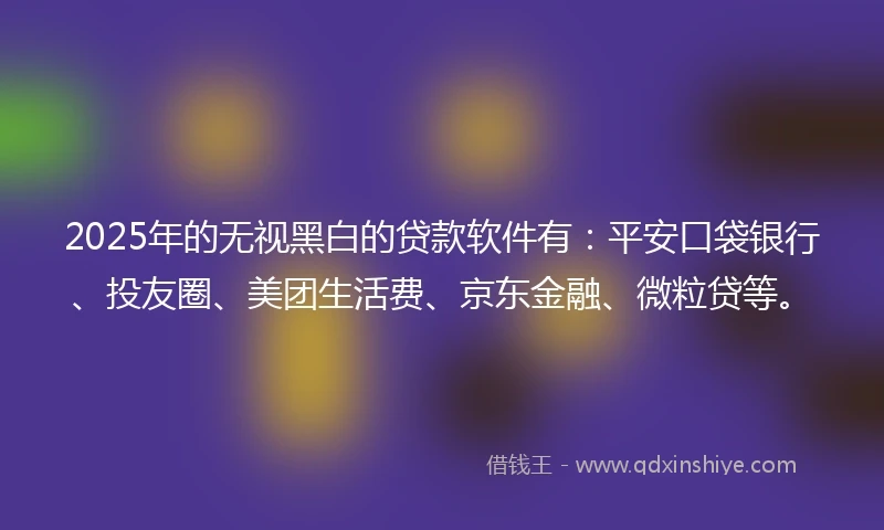 2025年的无视黑白的贷款软件有：平安口袋银行、投友圈、美团生活费、京东金融、微粒贷等。