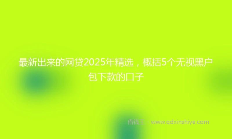 最新出来的网贷2025年精选,概括5个无视黑户包下款的口子