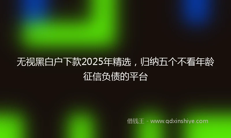 无视黑白户下款2025年精选，归纳五个不看年龄征信负债的平台