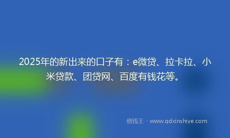 2025年的新出来的口子有：e微贷、拉卡拉、小米贷款、团贷网、百度有钱花等。