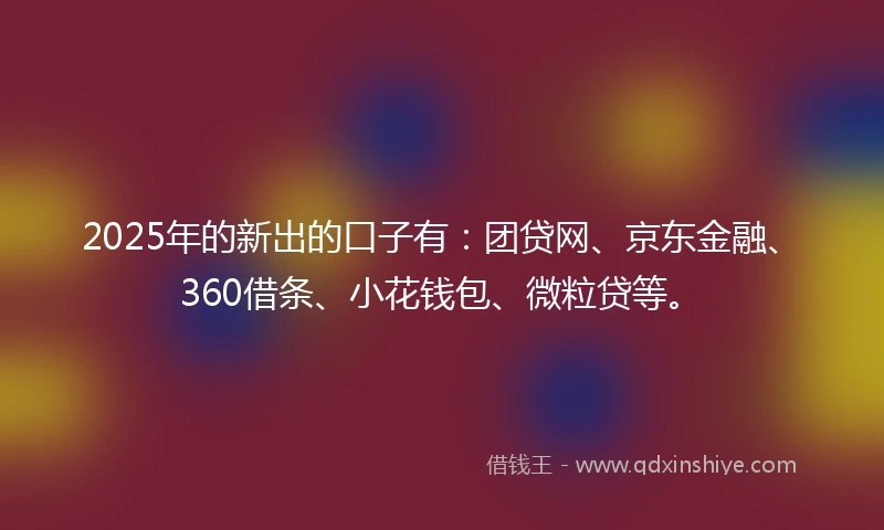 2025年的新出的口子有：团贷网、京东金融、360借条、小花钱包、微粒贷等。