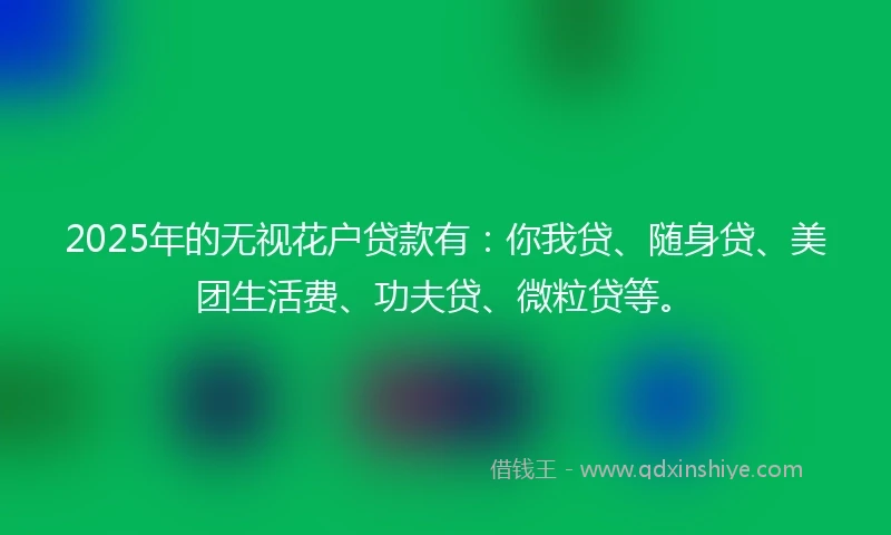 2025年的无视花户贷款有：你我贷、随身贷、美团生活费、功夫贷、微粒贷等。