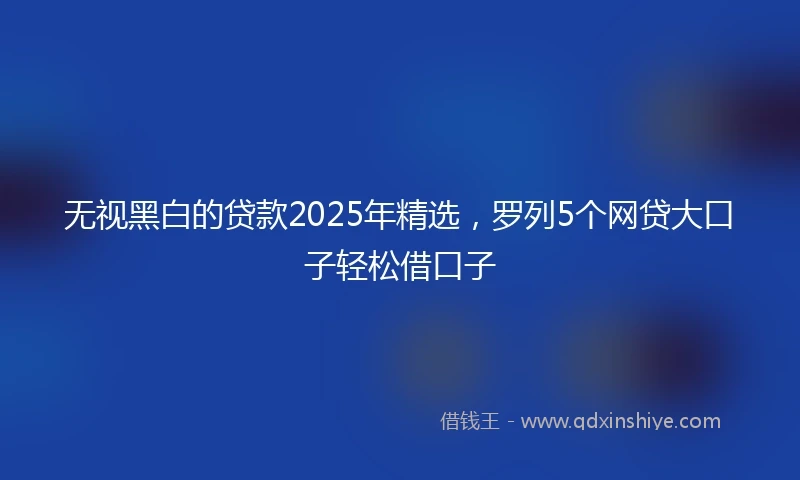 无视黑白的贷款2025年精选，罗列5个网贷大口子轻松借口子