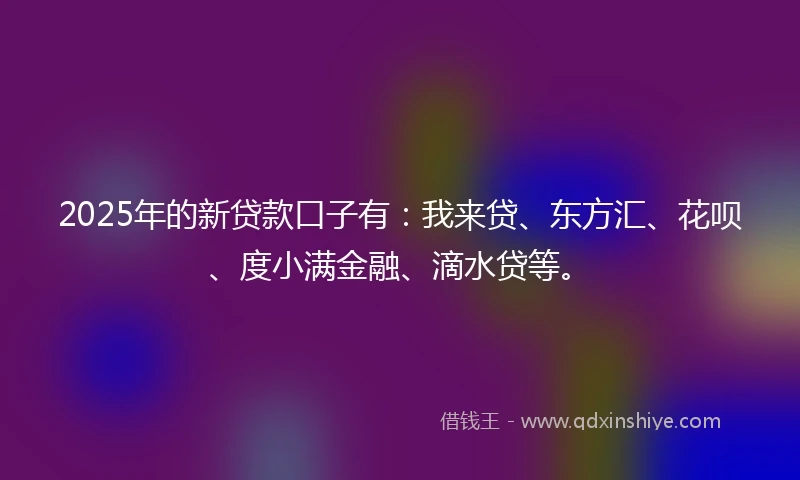 2025年的新贷款口子有：我来贷、东方汇、花呗、度小满金融、滴水贷等。