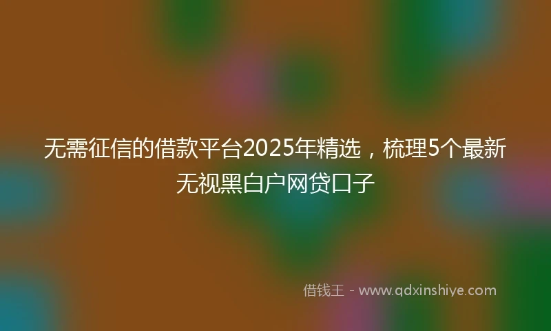 无需征信的借款平台2025年精选,梳理5个最新无视黑白户网贷口子
