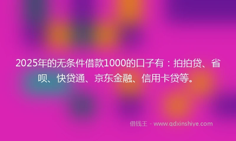 2025年的无条件借款1000的口子有：拍拍贷、省呗、快贷通、京东金融、信用卡贷等。