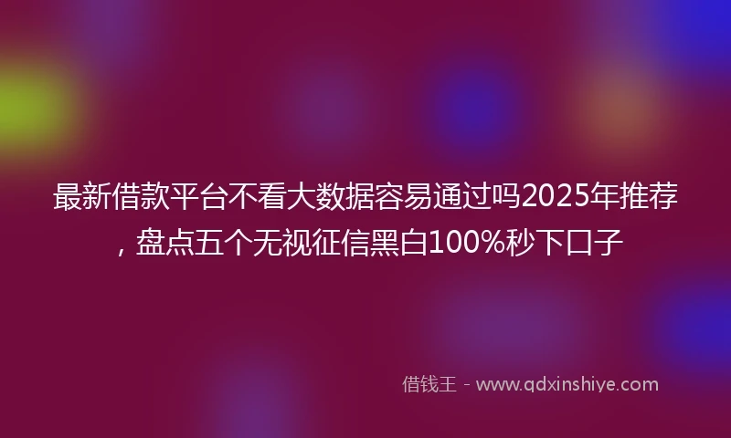 最新借款平台不看大数据容易通过吗2025年推荐，盘点五个无视征信黑白100%秒下口子