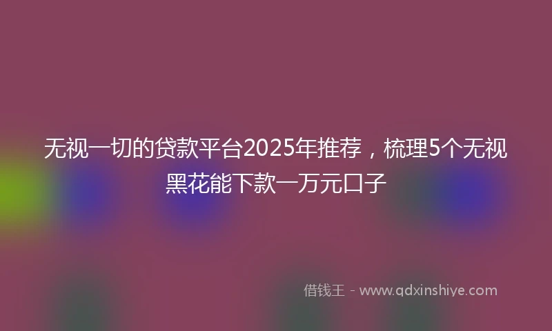 无视一切的贷款平台2025年推荐，梳理5个无视黑花能下款一万元口子