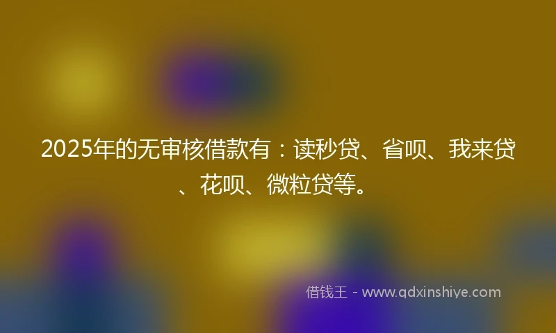 2025年的无审核借款有：读秒贷、省呗、我来贷、花呗、微粒贷等。
