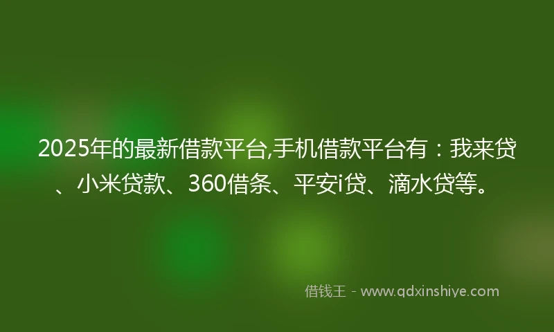 2025年的最新借款平台,手机借款平台有：我来贷、小米贷款、360借条、平安i贷、滴水贷等。