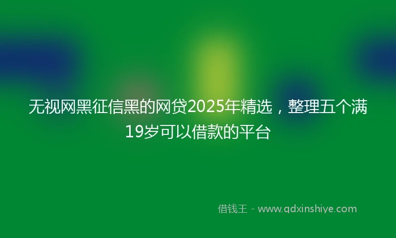 无视网黑征信黑的网贷2025年精选，整理五个满19岁可以借款的平台