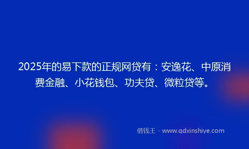 2025年的易下款的正规网贷有：安逸花、中原消费金融、小花钱包、功夫贷、微粒贷等。