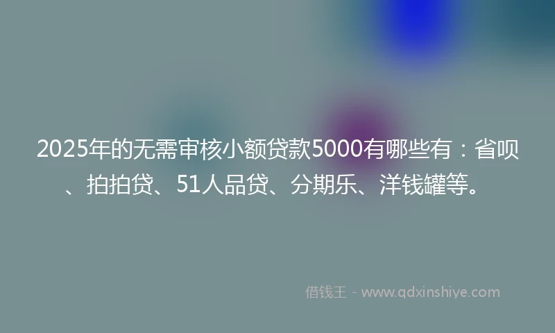 2025年的无需审核小额贷款5000有哪些有：省呗、拍拍贷、51人品贷、分期乐、洋钱罐等。