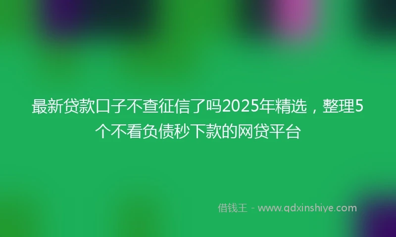 最新贷款口子不查征信了吗2025年精选，整理5个不看负债秒下款的网贷平台