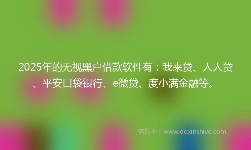 2025年的无视黑户借款软件有：我来贷、人人贷、平安口袋银行、e微贷、度小满金融等。