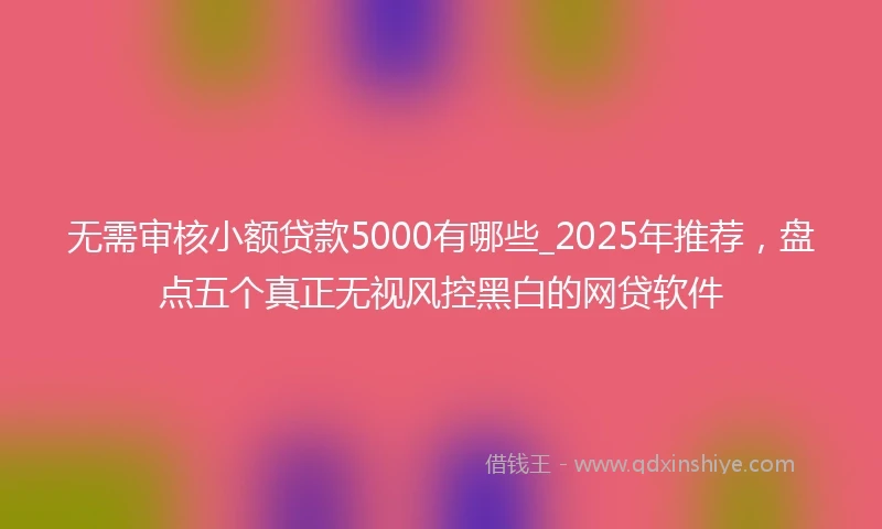 无需审核小额贷款5000有哪些_2025年推荐，盘点五个真正无视风控黑白的网贷软件