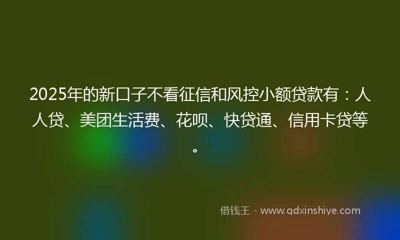 2025年的新口子不看征信和风控小额贷款有：人人贷、美团生活费、花呗、快贷通、信用卡贷等。
