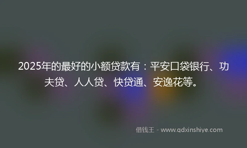 2025年的最好的小额贷款有：平安口袋银行、功夫贷、人人贷、快贷通、安逸花等。