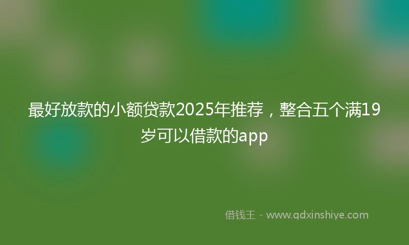 最好放款的小额贷款2025年推荐，整合五个满19岁可以借款的app