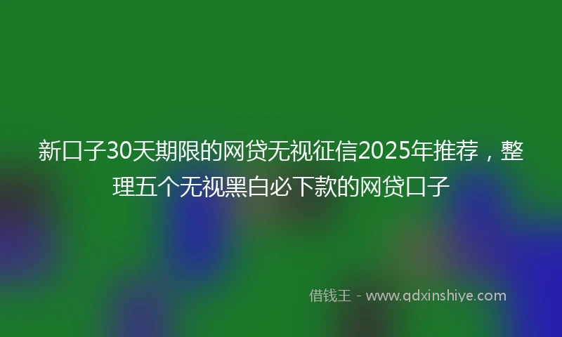 新口子30天期限的网贷无视征信2025年推荐，整理五个无视黑白必下款的网贷口子