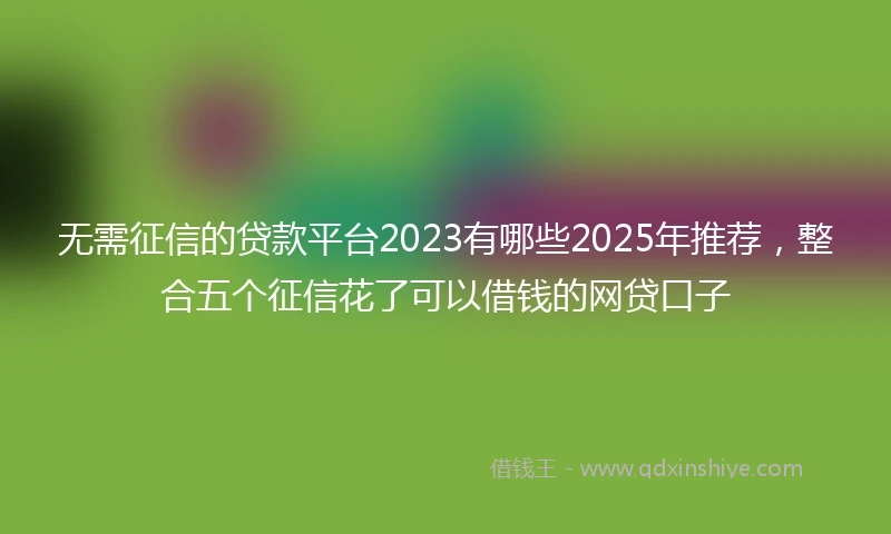 无需征信的贷款平台2023有哪些2025年推荐，整合五个征信花了可以借钱的网贷口子