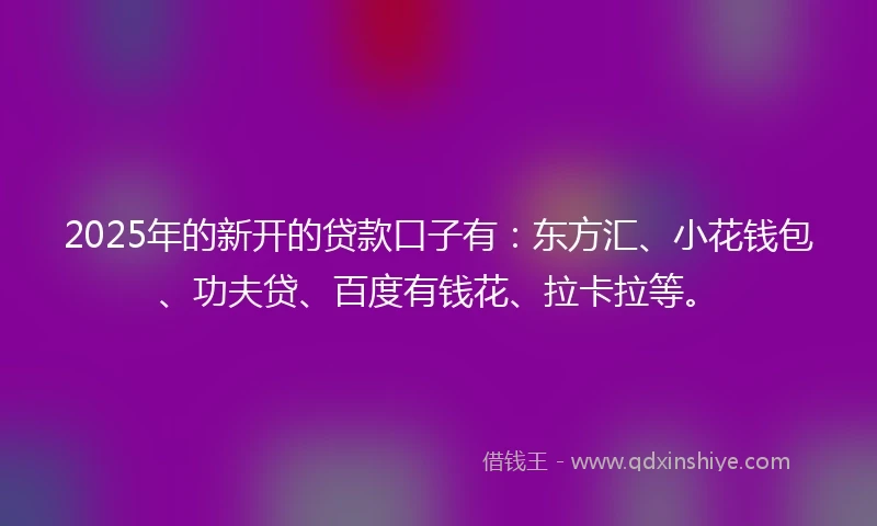 2025年的新开的贷款口子有：东方汇、小花钱包、功夫贷、百度有钱花、拉卡拉等。