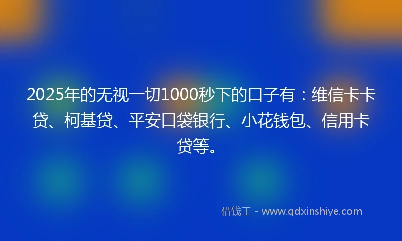 2025年的无视一切1000秒下的口子有：维信卡卡贷、柯基贷、平安口袋银行、小花钱包、信用卡贷等。